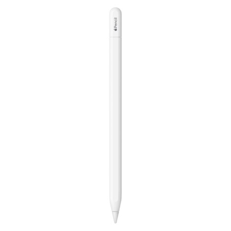 Apple Pencil Usb-C - Compatibile con iPad 10.9" Gen 10 - iPad 11" - iPad mini - iPad Air - iPad Pro