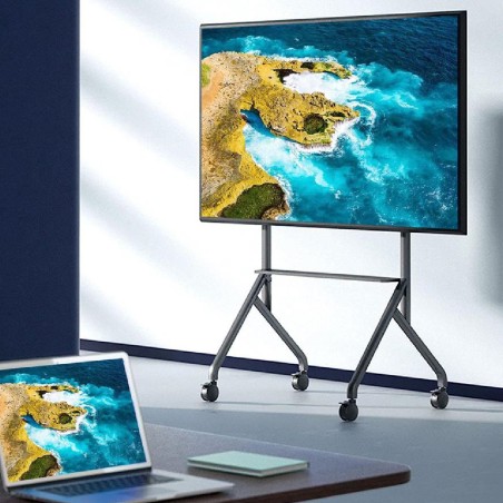 Carrello per Monitor - VESA Max 1000 x 600 - fino a 100 Kg - con Staffa