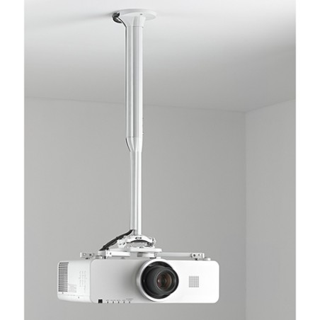 Chief KITEC045080W supporto per proiettore Soffitto Bianco
