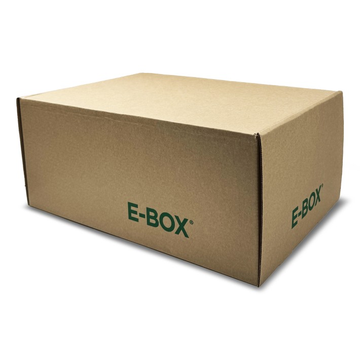 Blasetti E-Box Scatola da imballaggio Marrone 10 pz