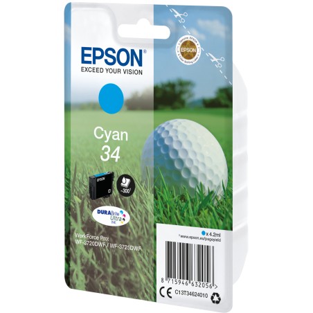 Epson Golf ball Inchiostro ciano singolo DURABrite Ultra Pallina da golf 34