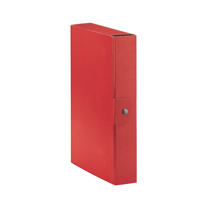 Esselte C26 EUROBOX cartella progetti - dim. 25 x 35 cm dorso 6 cm