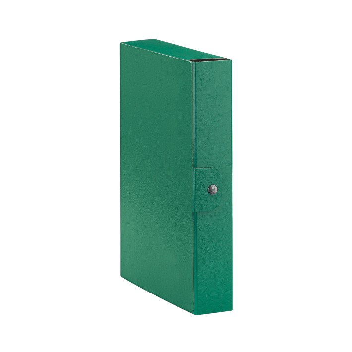 Esselte C26 EUROBOX cartella progetti - dim. 25 x 35 cm dorso 6 cm