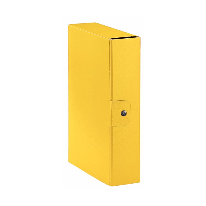 Esselte C28 EUROBOX cartella progetti - dim. 25 x 35 cm dorso 8 cm