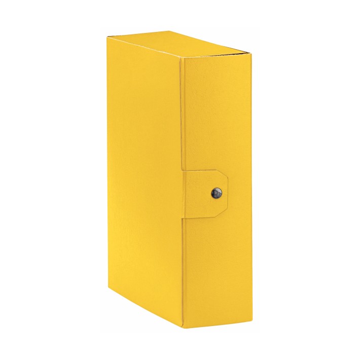Esselte C30 EUROBOX cartella progetti - dim. 25 x 35 cm dorso 10 cm