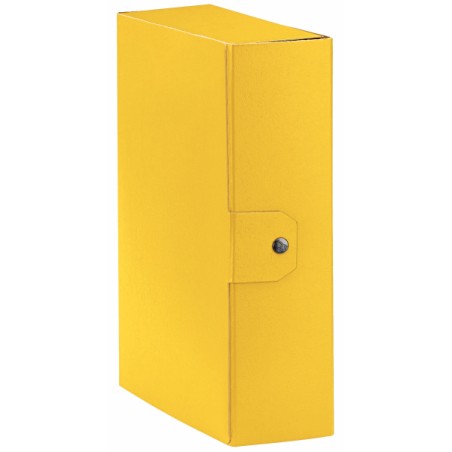 Esselte C30 EUROBOX cartella progetti - dim. 25 x 35 cm dorso 10 cm