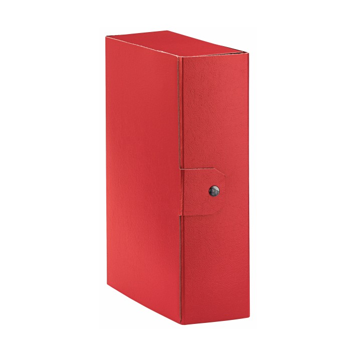 Esselte C30 EUROBOX cartella progetti - dim. 25 x 35 cm dorso 10 cm