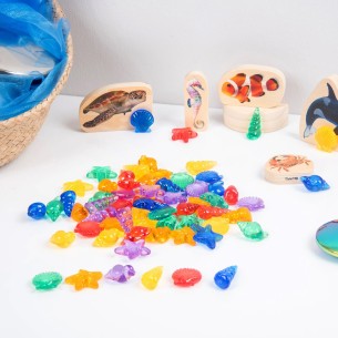 Conchiglie Colorate Traslucide - Confezione da 72 Pezzi 2