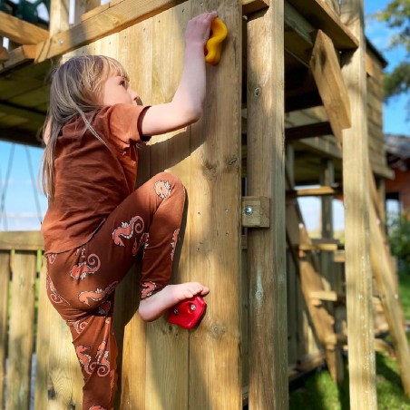Set da 6 Prese per Arrampicata in Plastica - Ideali per attività motorie dei più piccoli