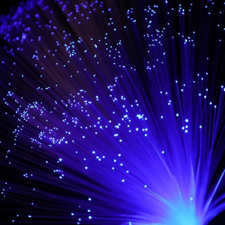 Lampada LED ad Albero in Fibra Ottica - Strumento Sensoriale per Terapia e Decorazione