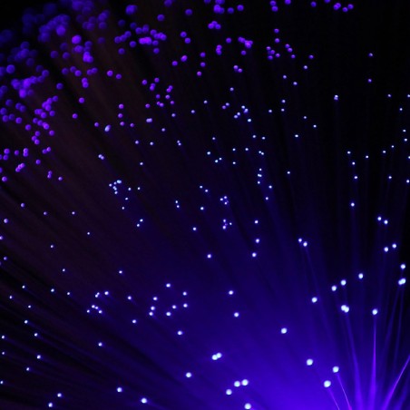 Lampada LED ad Albero in Fibra Ottica - Strumento Sensoriale per Terapia e Decorazione