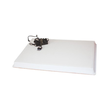 Tavolo Luminoso LED CWR 27x41cm con Impianto Elettrico