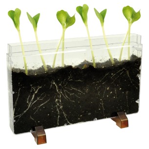 CWR - Contenitore Educativo per Bambini - Dimensioni cm. 30 x 4 x 19 h