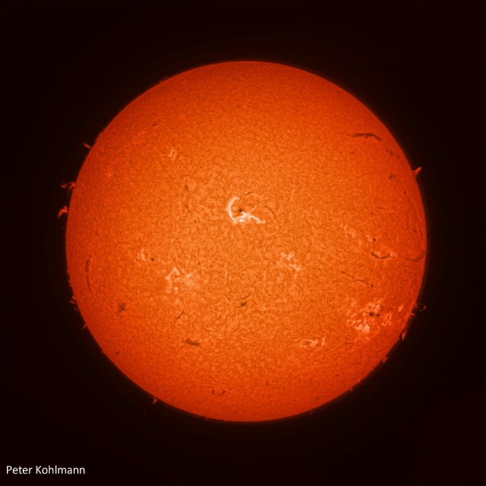 Telescopio Acuter Elite Phoenix 40mm + Montatura treppiede sky-watcher SunGT
