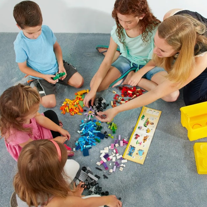 LEGO® Large Creative Brick Set